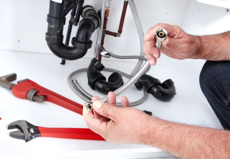 Toilet repair being carried out in Dulwich